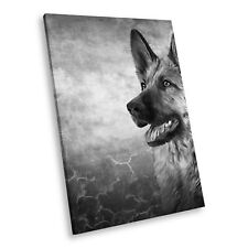 A714 german shepherd for sale  STRABANE