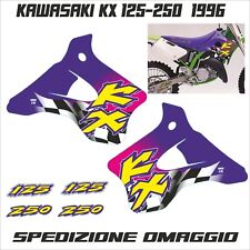 Kit adesivi kawasaki usato  Mozzate