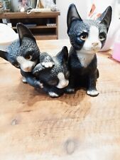 Cute trio kittens for sale  GUILDFORD