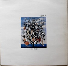 Talk talk spirit usato  Torino