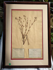 Herbier ancien 19em d'occasion  Saint-Rémy-lès-Chevreuse