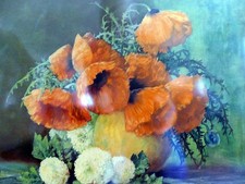 Poppies max streckenbach for sale  Ben Lomond