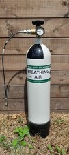 Bisley litre 300 for sale  PETWORTH