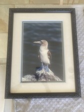 Framed ken jenkins for sale  Jacksonville