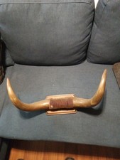 Mounted bull steer for sale  Mount Holly Springs