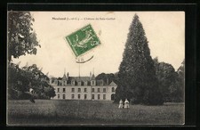 Cpa nesland chateau d'occasion  Expédié en France