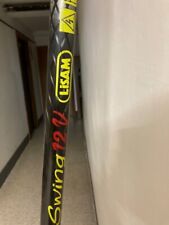 Lisam swing 12v usato  Filottrano