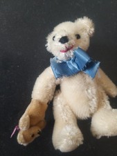 Cute miniature teddy for sale  BIRMINGHAM