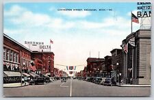 Escanaba michigan ludington for sale  Newton