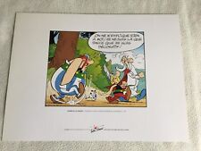 Sérigraphie astérix zizanie d'occasion  Montélimar