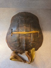 Vintage large tortoise for sale  Manteno