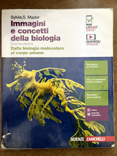 Immagini concetti della usato  Roma