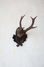 Roe antlers vintage for sale  Fredericksburg