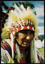 Indian chief native for sale  GREAT YARMOUTH