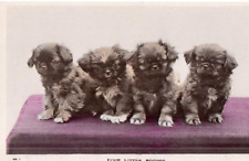 Vintage postcard gorgeous for sale  MATLOCK