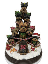 Danybury mint yorkie for sale  Modesto