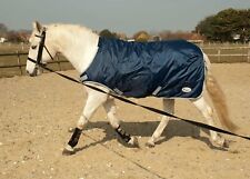 Rhinegold horse walker for sale  CHATTERIS