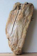 Treibholz schwemmholz driftwoo gebraucht kaufen  Halblech