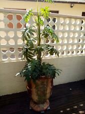 Plante artificielle monstera d'occasion  Audenge