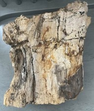 Large slab rough for sale  Waynesville