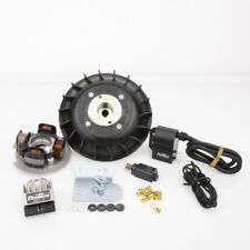 Accensione anticipo variabile usato Accensione anticipo variabile usato  Pagani