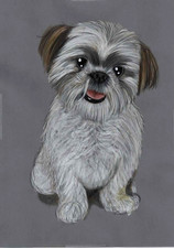 Original coloured pencil for sale Original coloured pencil for sale  PORTSMOUTH