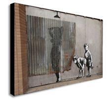 Banksy lady shower for sale  PLYMOUTH