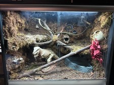 Snake vivarium used for sale  WALSALL