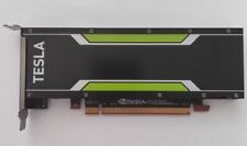 Nvidia tesla gpu usato  Luserna San Giovanni