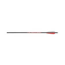 bolts 20 arrows crossbow for sale bolts 20 arrows crossbow for sale Pemberton