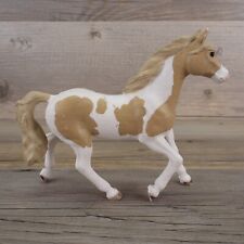 Paint horse mare for sale  Saint Stephen