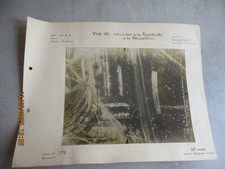 1916 bois turtle d'occasion  Expédié en Belgium