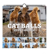 Funny cat balls for sale  Ogden