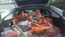 Firewood logs sale for sale  PORTSMOUTH