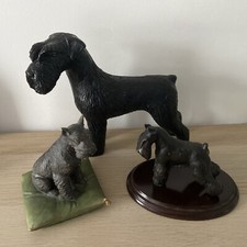 Large black giant for sale  CARLISLE