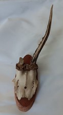 Vintage roe deer for sale  Huntington Beach