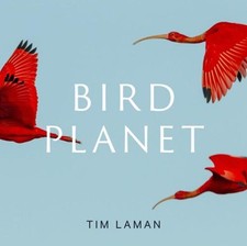 Bird planet photographic for sale  ROSSENDALE