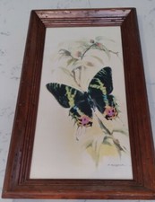 Vintage framed watercolor for sale  Carlsbad