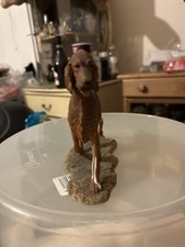 Unmarked red setter for sale  POOLE
