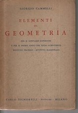 Elementi geometria paperback usato  Vejano