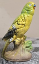 Small multicolor parakeet for sale  Mechanicsville