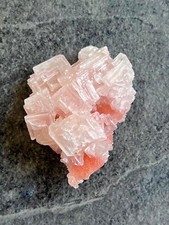 Halite rose californie d'occasion  Roanne
