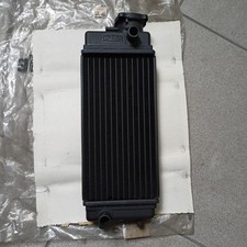 Aprilia 8101549 radiatore usato  Caorso