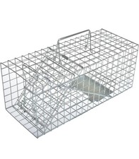 Anyhall live animal for sale  STANFORD-LE-HOPE