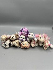 Puppy surprise kitty for sale  Alliance