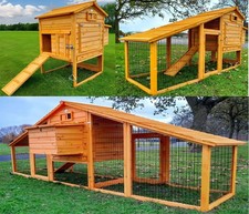 Versatile granary chicken for sale Versatile granary chicken for sale  LANCING