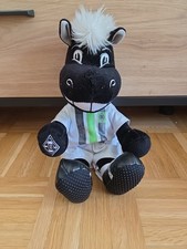 Spardose borussia mönchenglad gebraucht kaufen  Rosenheim