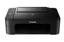 Canon pixma ts3350 gebraucht kaufen  Raunheim