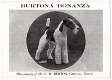 Dog advertising card for sale  SUTTON COLDFIELD