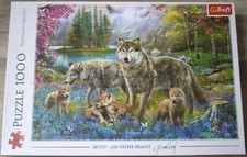 Trefl puzzle 1000 gebraucht kaufen  Mönchengladbach